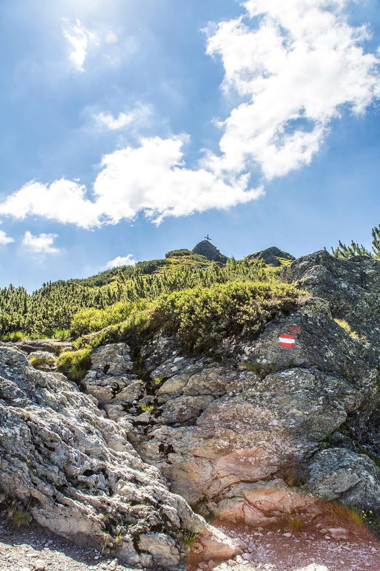 Gasthof Alpenzeit Flachau